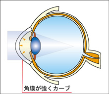 ���ܐ��ߎ�